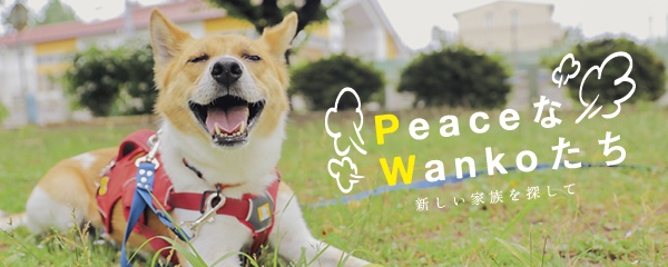 【特集】PeaceなWankoたち