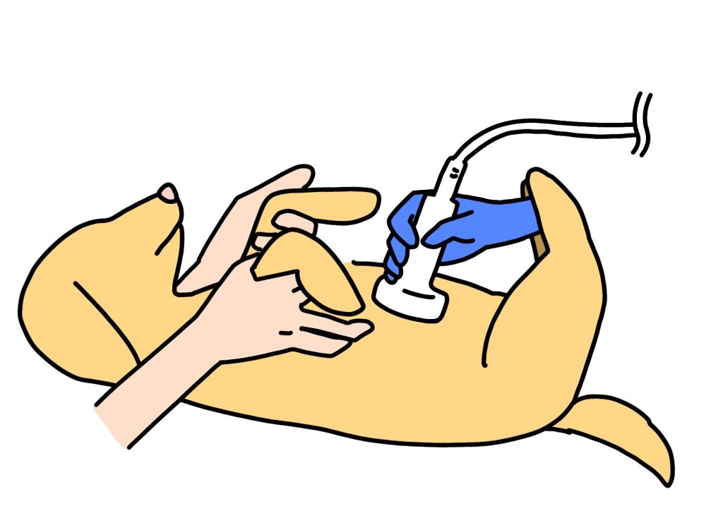 診察を受けるワンコ